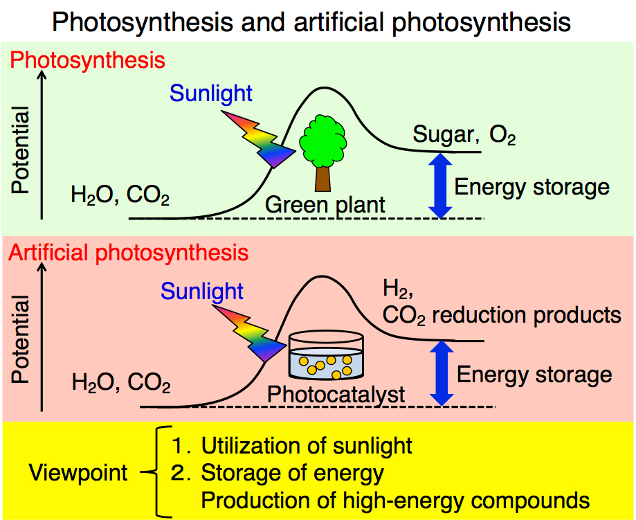 Development of photocatalysts for artificial photosynthesis Meiji